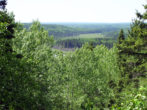 Национальный парк Принц Альберт